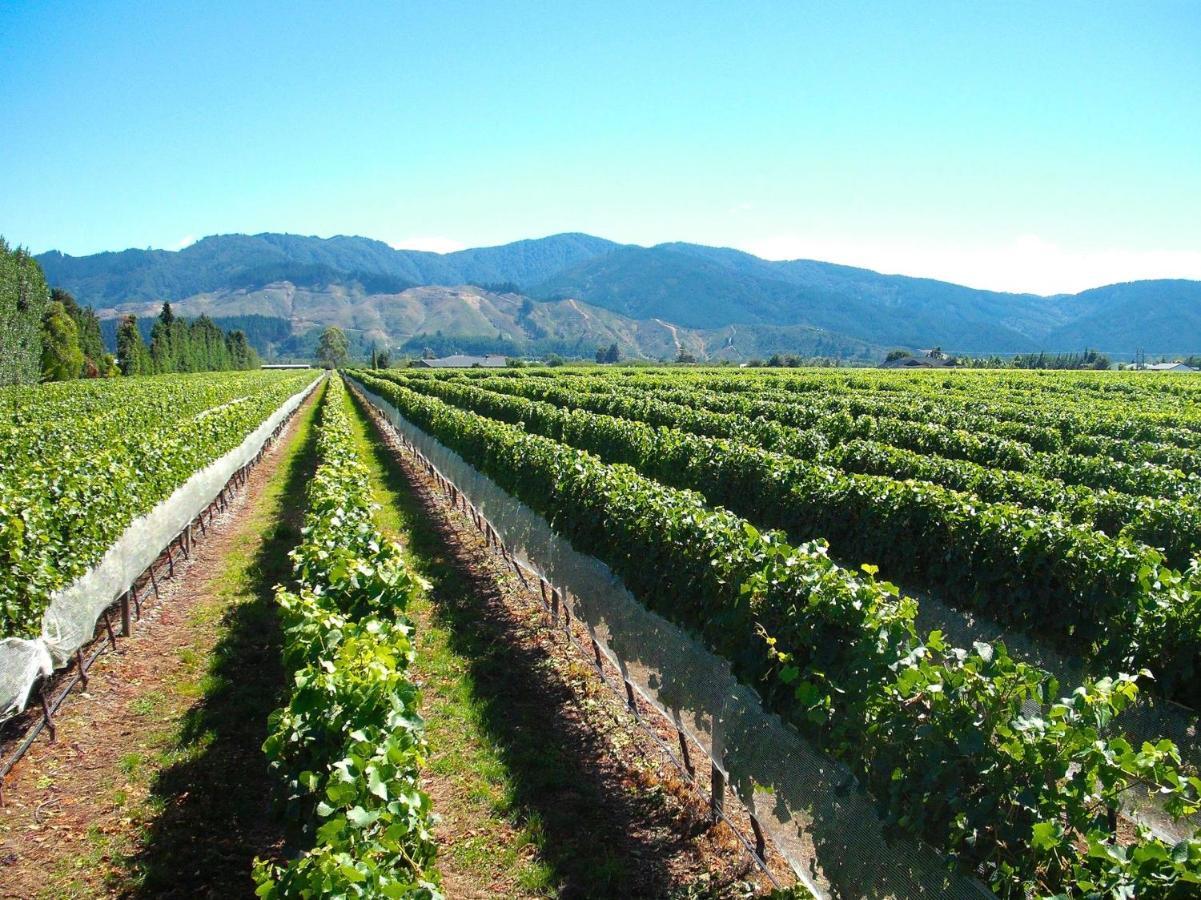 Marlborough Magic - Rapaura Holiday Home เบลนิม ภายนอก รูปภาพ
